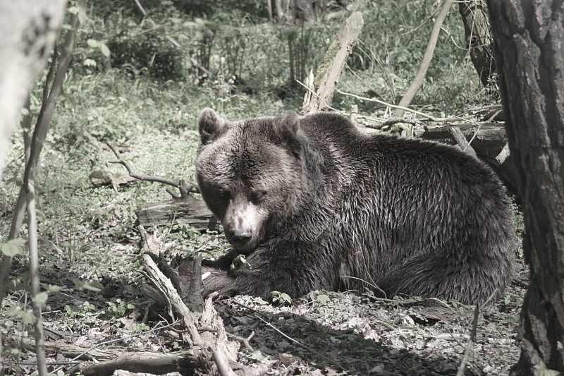 Killikus® Fotographie Killikus® Fotographie